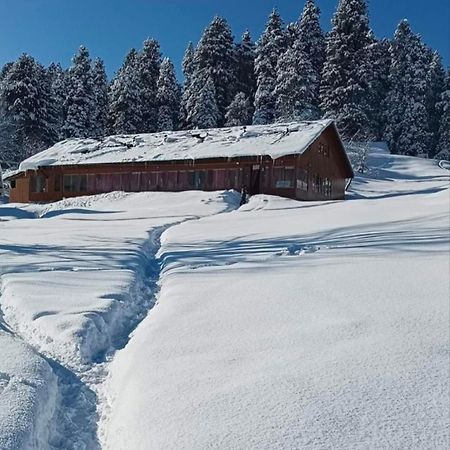 Roseland Cottage , Gulmarg Exterior foto