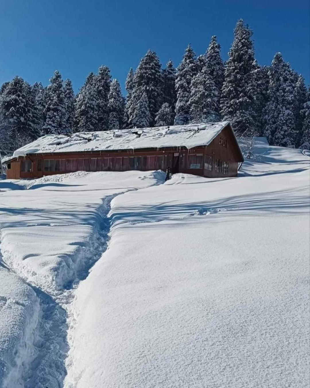 Roseland Cottage , Gulmarg Exterior foto